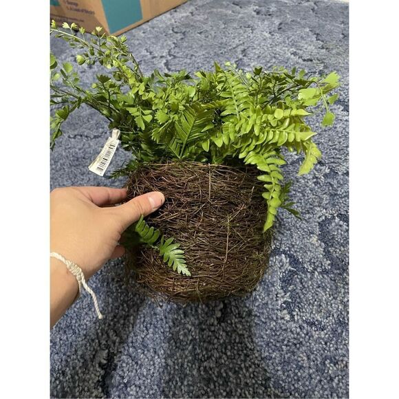 Brand New Nearly Natural Mixed Fern with Twig and Moss Basket Home Garden - Picture 1 of 5